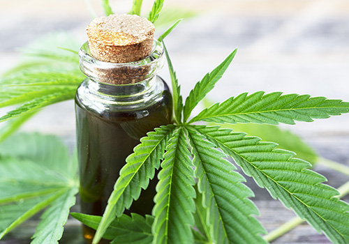 what-to-expect-taking-cbd