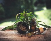 CBD-Products-Work-For-You